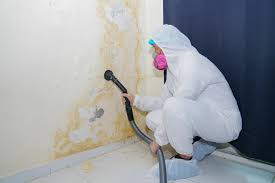 Best Biohazard Mold Removal  in Melrose Park, IL